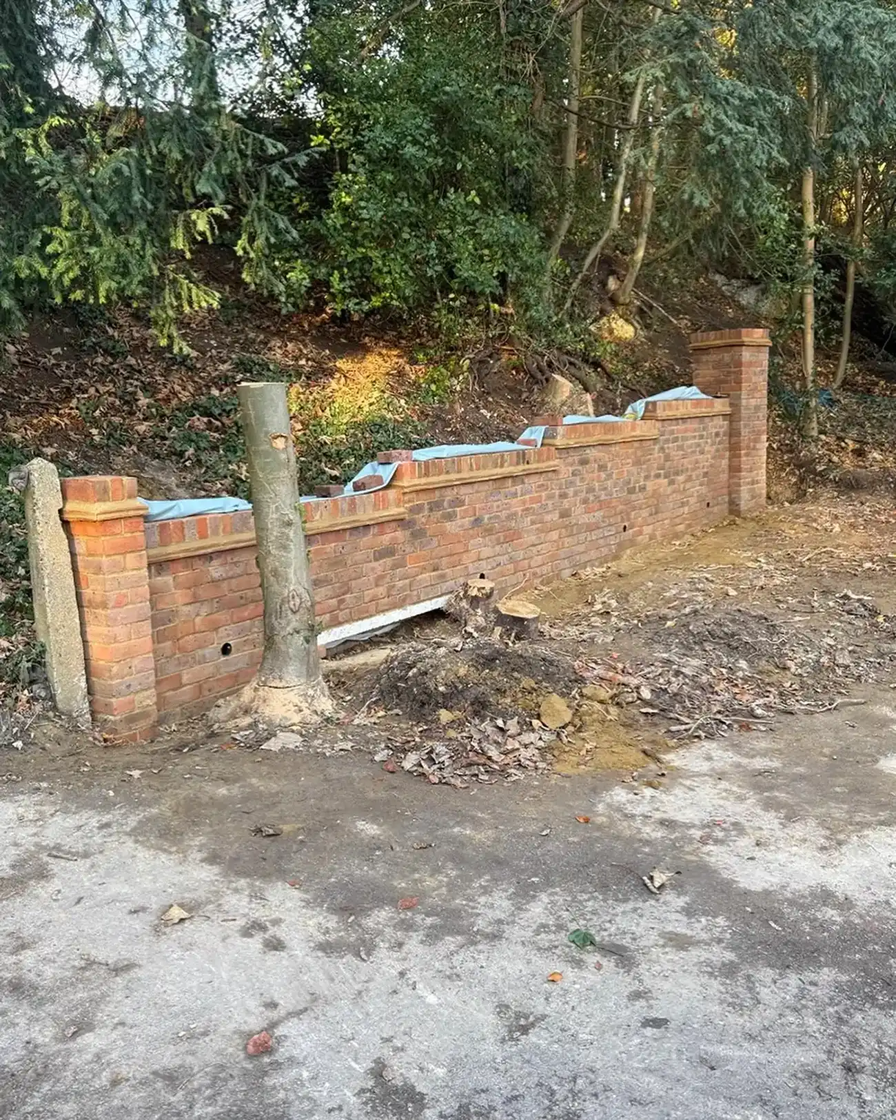 Partially built brick wall with pillars next to a dirt and leaf-covered area and trees behind.