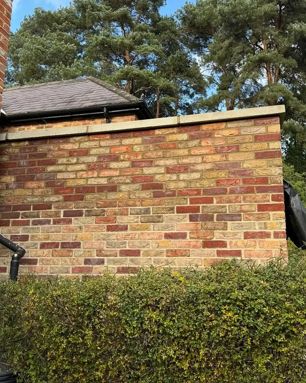 Brick wall behind dense green shrubbery with a slate roof and pine trees in the background.